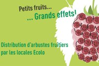 Petits fruits… Grands effets !